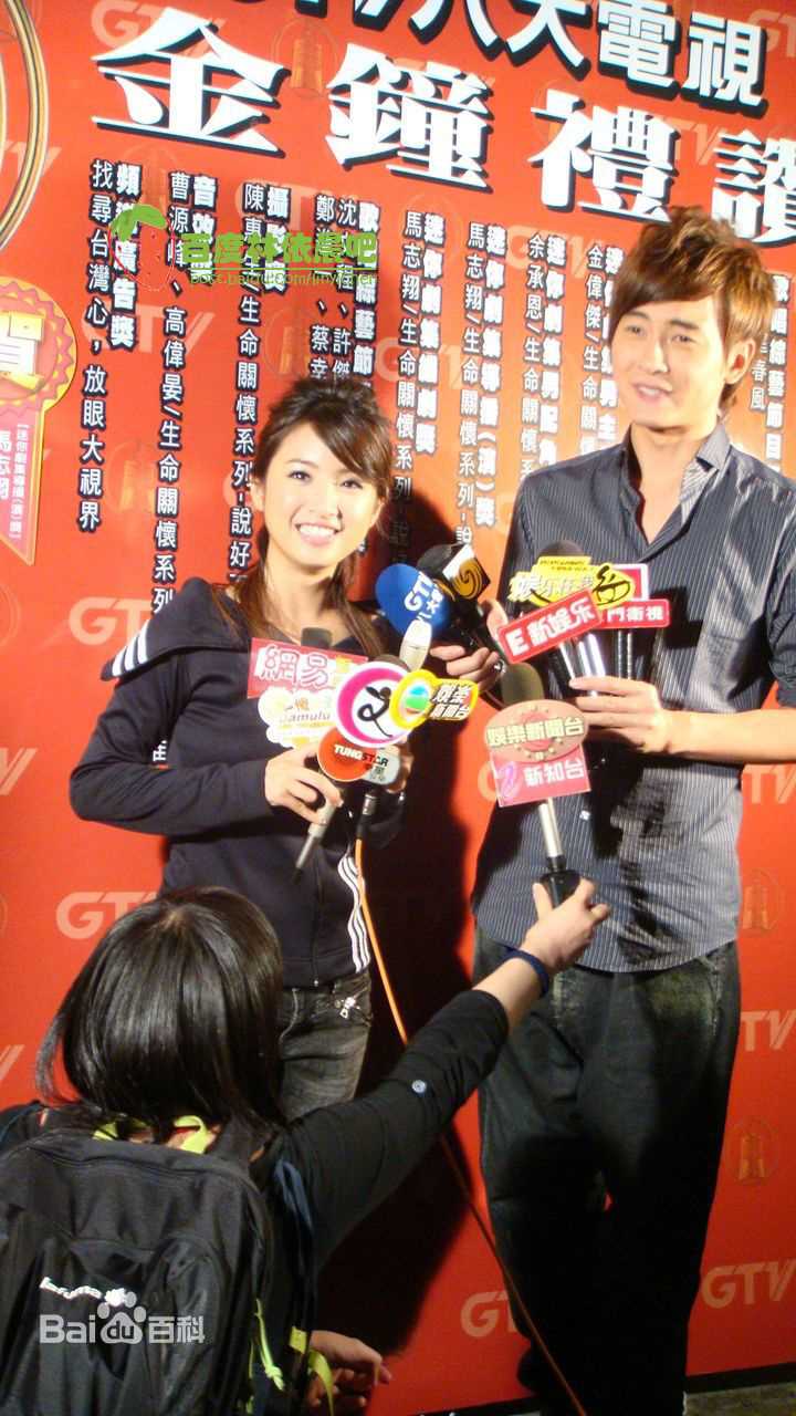 林依晨(Ariel Lin)2008.10.31 第43届金钟奖图片图册