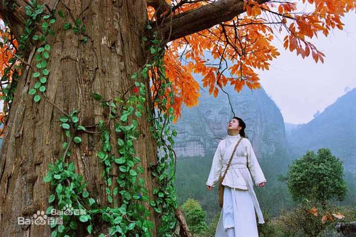 精选林依晨(Ariel Lin)在《天外飞仙》七仙女中的图册