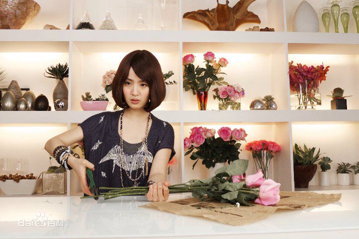 最优质林依晨(Ariel Lin)在2011年《恋爱恐慌症》若晴中的相册