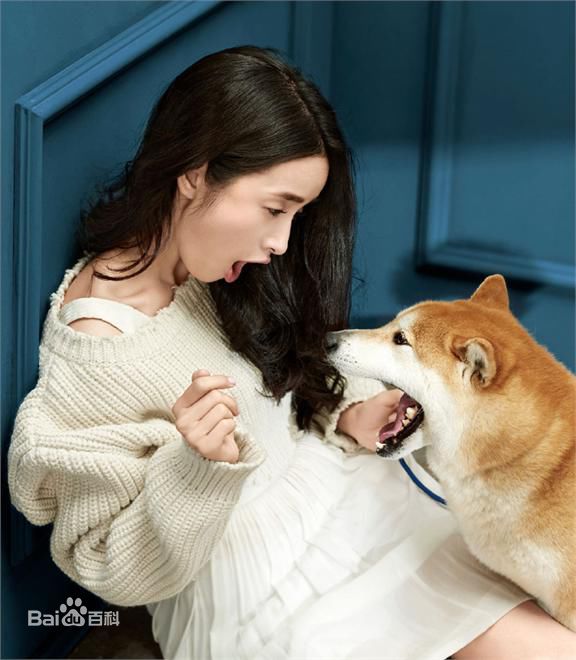 最优质林依晨(Ariel Lin)在《时尚芭莎BAZAAR EXPRESS》中的相册