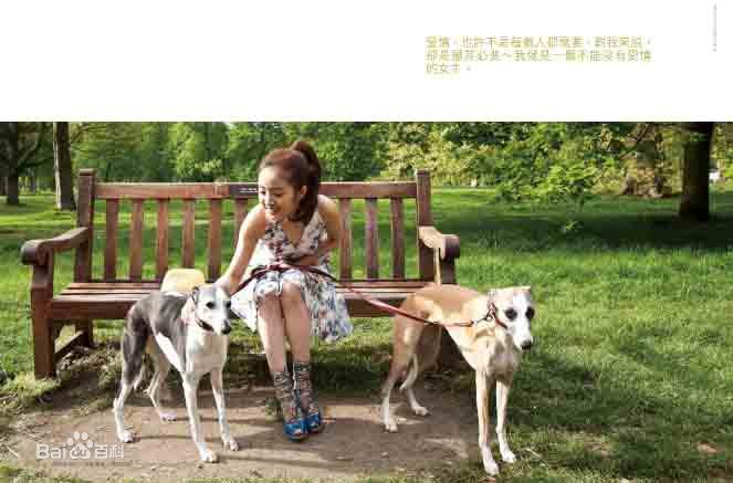 最全林依晨(Ariel Lin)精彩图册