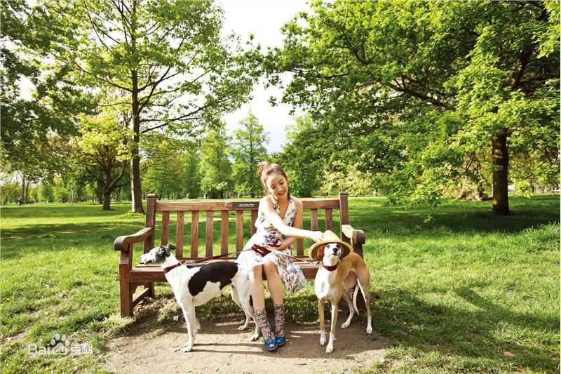 最新林依晨(Ariel Lin)精彩图册