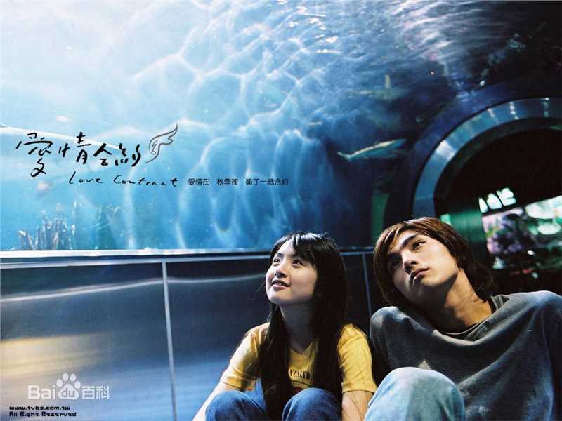 林依晨(Ariel Lin)高清《爱情合约》剧照海报书图集