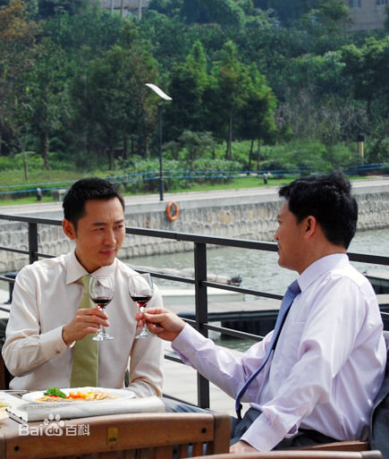 最优质何政军精彩图册