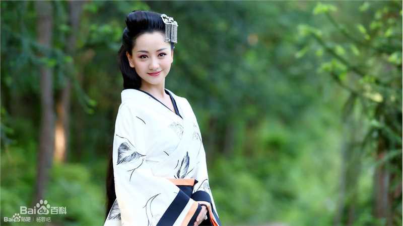 精选杨蓉(Yang Rong)在2013年《大汉情缘之云中歌》中的图册