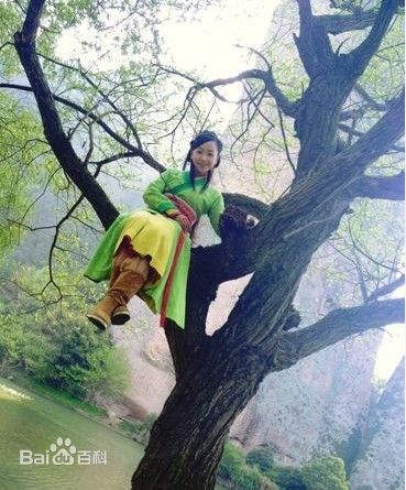 最优质杨蓉(Yang Rong)在《笑傲江湖》岳灵珊中的相册