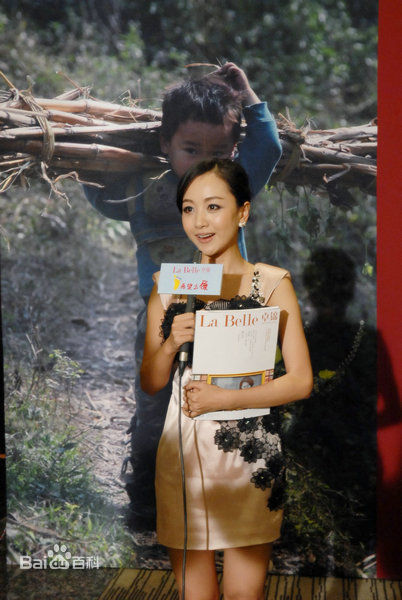 杨蓉(Yang Rong)出席活动壁纸壁纸