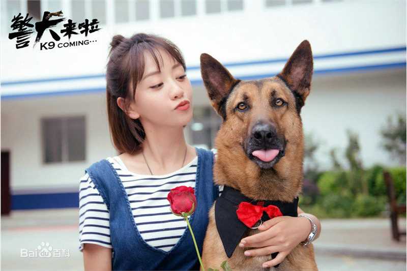 杨蓉(Yang Rong)在《警犬来啦》中的