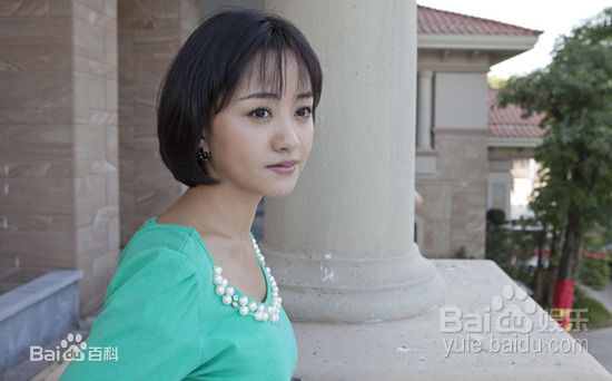 杨蓉(Yang Rong)2010年《女婿难当》高清剧照