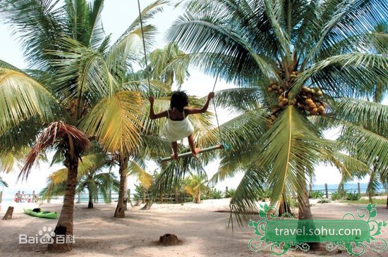 最全郭羡妮(Sonija Kwok)精彩图册