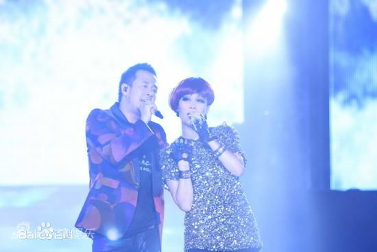 那英“那20年”世界巡回演唱会天津站壁纸壁纸