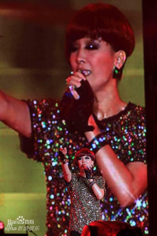 那英“那20年”世界巡回演唱会天津站壁纸壁纸