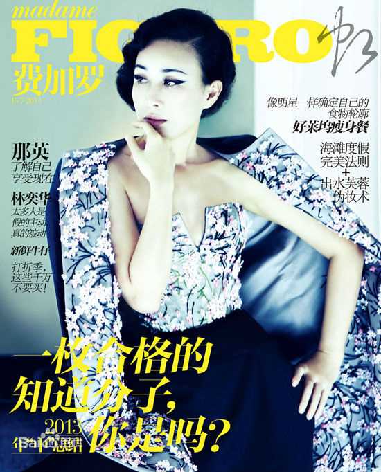 那英精选杂志封面图册