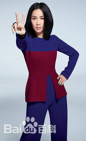 最优质那英在《中国好声音第三季》中的相册