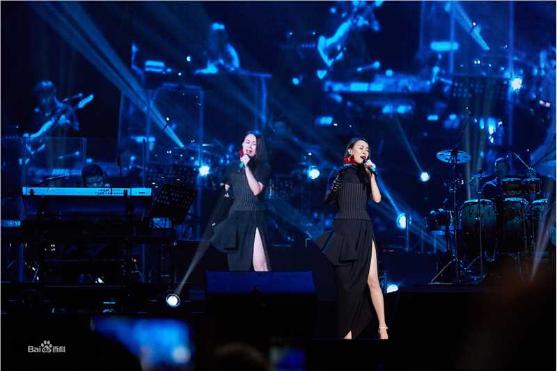 那英2019“那世界NA World”世界巡回演唱会前后照片