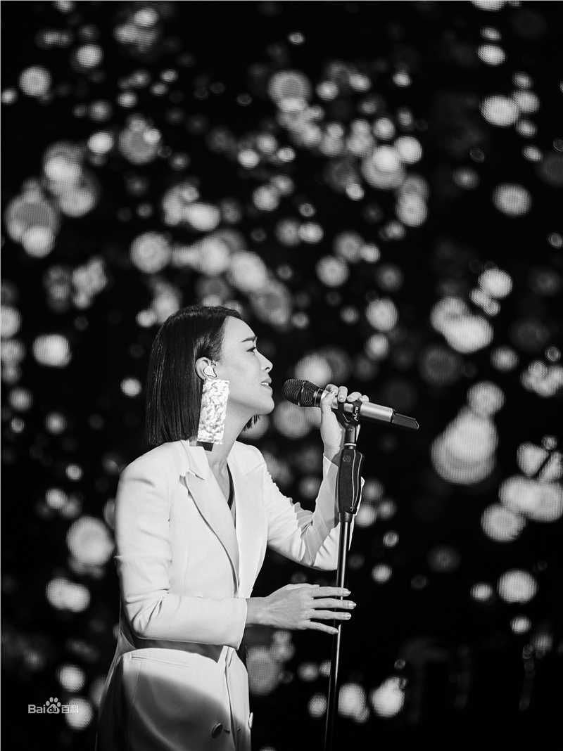 那英2019“那世界NA World”世界巡回演唱会前后照片