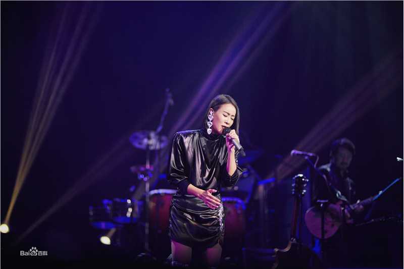 那英2019“那世界NA World”世界巡回演唱会前后照片
