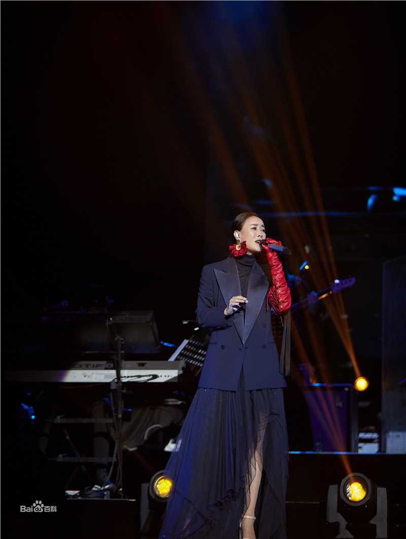 那英2019“那世界NA World”世界巡回演唱会前后照片