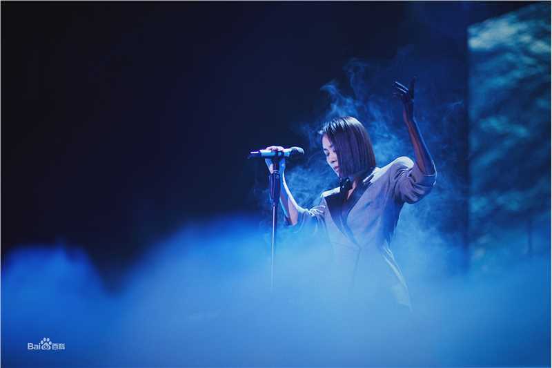 那英2019“那世界NA World”世界巡回演唱会前后照片