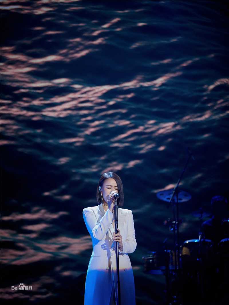 那英2019“那世界NA World”世界巡回演唱会前后照片