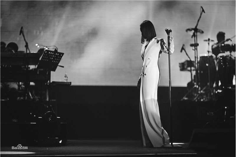 那英2019“那世界NA World”世界巡回演唱会前后照片