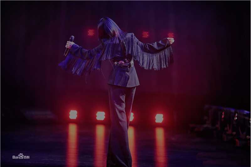 那英奇美音乐夜2018性感图片壁纸