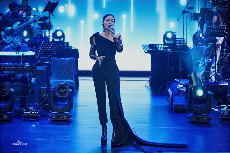 那英奇美音乐夜2018性感图片壁纸
