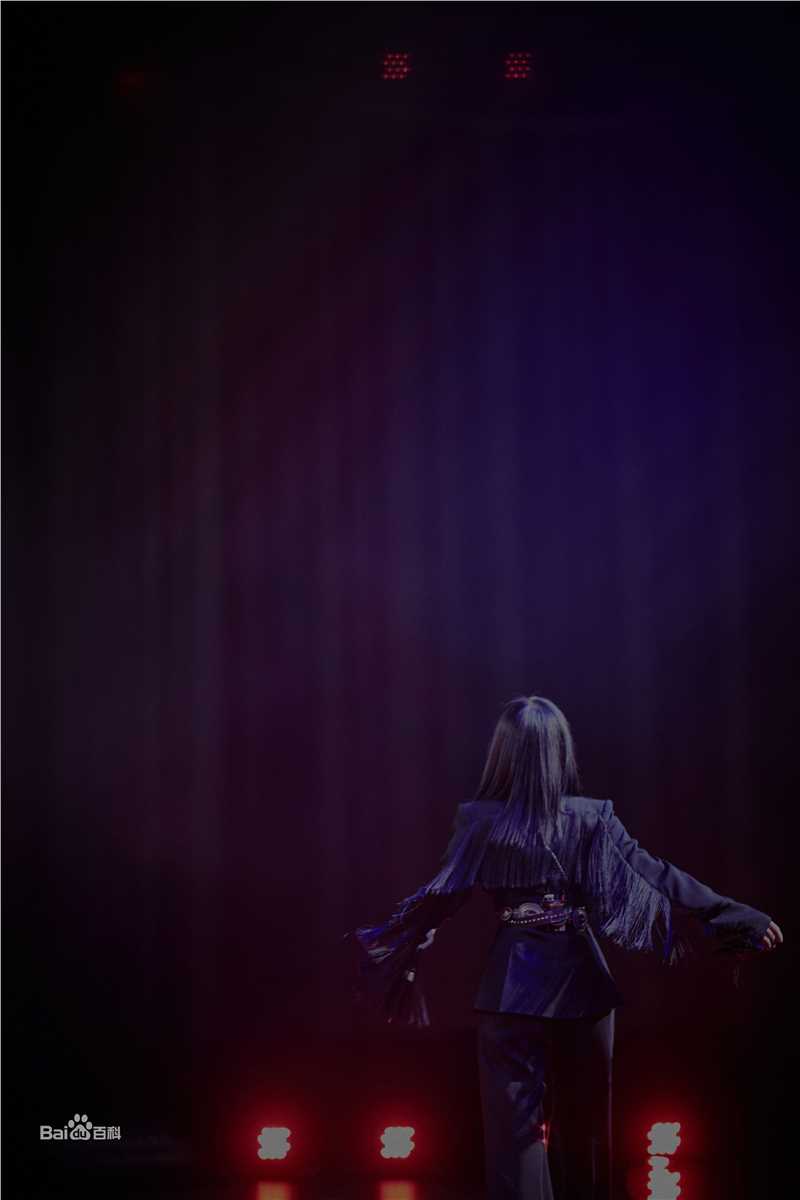 那英奇美音乐夜2018性感图片壁纸