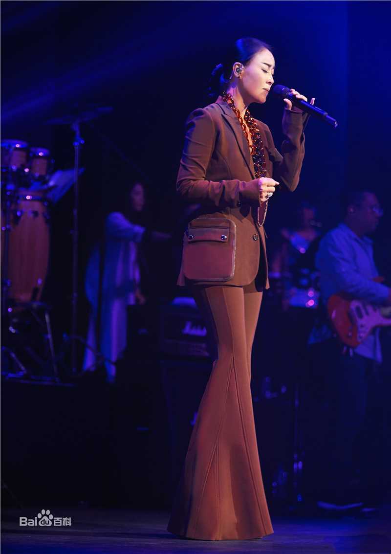 那英2017“那世界NA World”世界巡回演唱会生活照相册