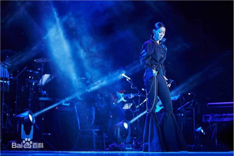 那英2017“那世界NA World”世界巡回演唱会生活照相册