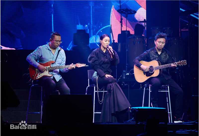 那英2017“那世界NA World”世界巡回演唱会生活照相册