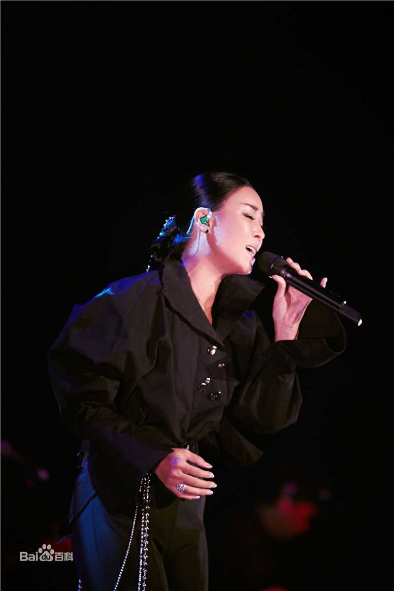 那英2017“那世界NA World”世界巡回演唱会生活照相册