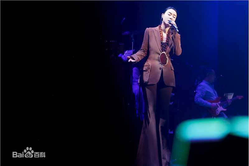 那英2017“那世界NA World”世界巡回演唱会生活照相册