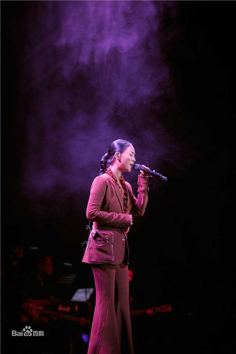 那英2017“那世界NA World”世界巡回演唱会生活照相册