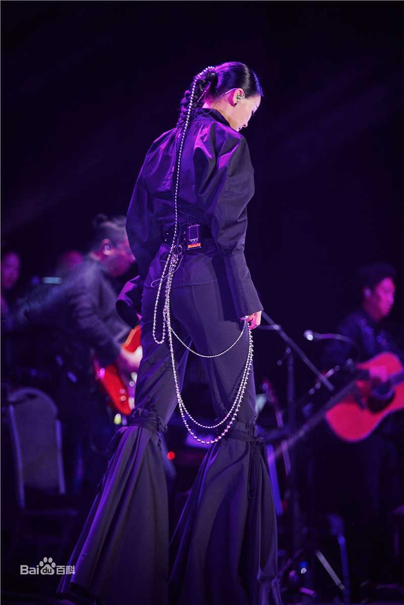 那英2017“那世界NA World”世界巡回演唱会生活照相册
