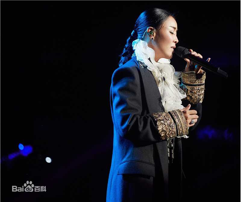 那英2017“那世界NA World”世界巡回演唱会生活照相册