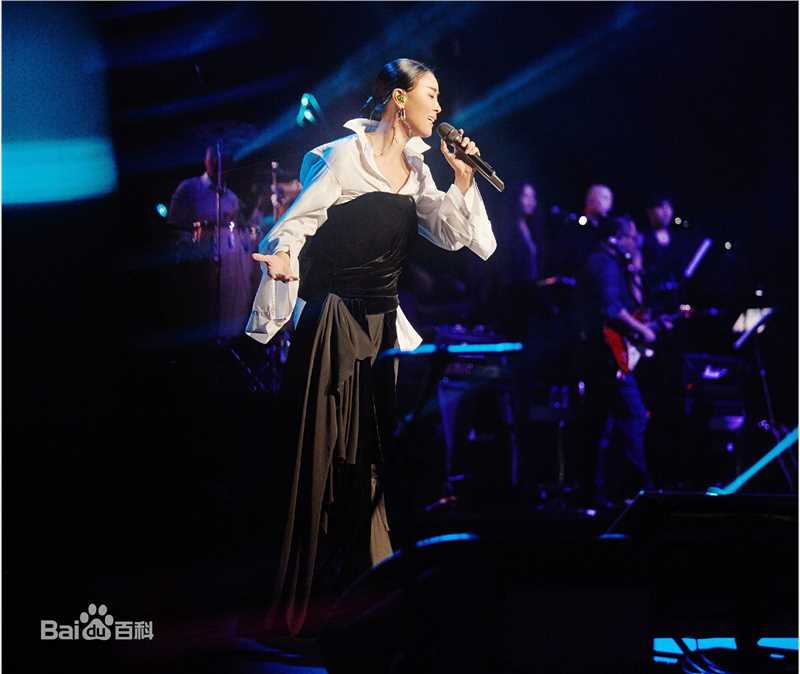 那英2017“那世界NA World”世界巡回演唱会生活照相册