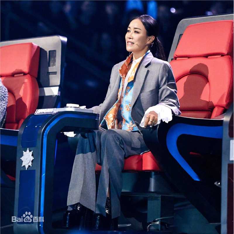 最优质那英在《中国新歌声第二季》中的相册