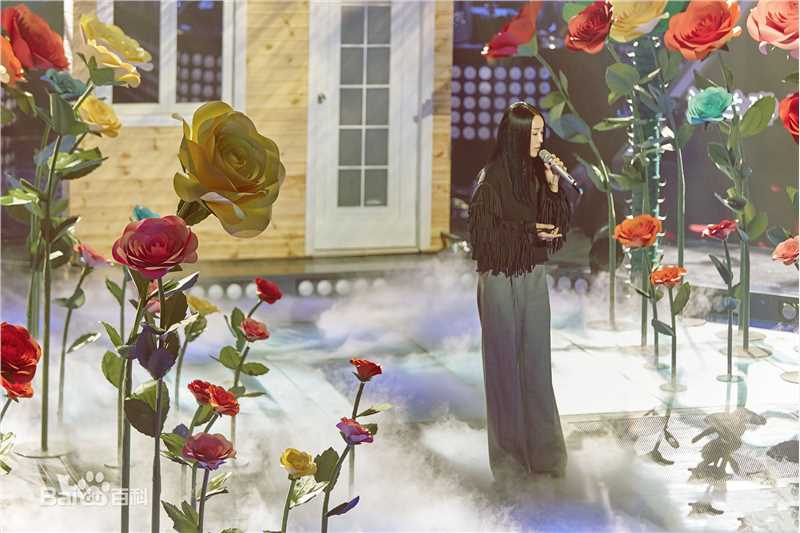 最新那英在《中国新歌声第一季》中的壁纸