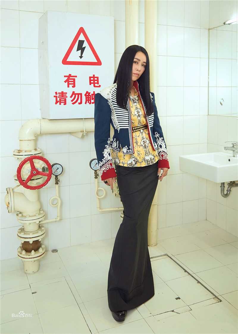 最新那英在《中国新歌声第一季》中的壁纸