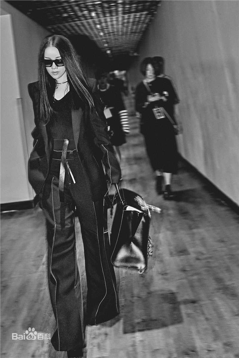 最新那英在《中国新歌声第一季》中的壁纸