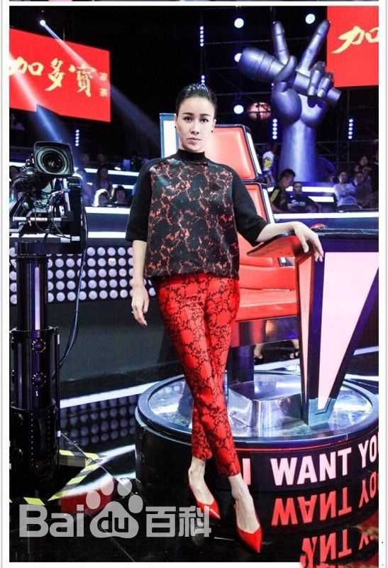 那英在《中国好声音第二季》中的