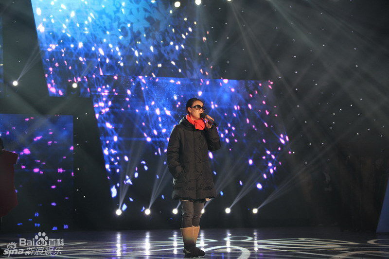 高清那英精彩图册