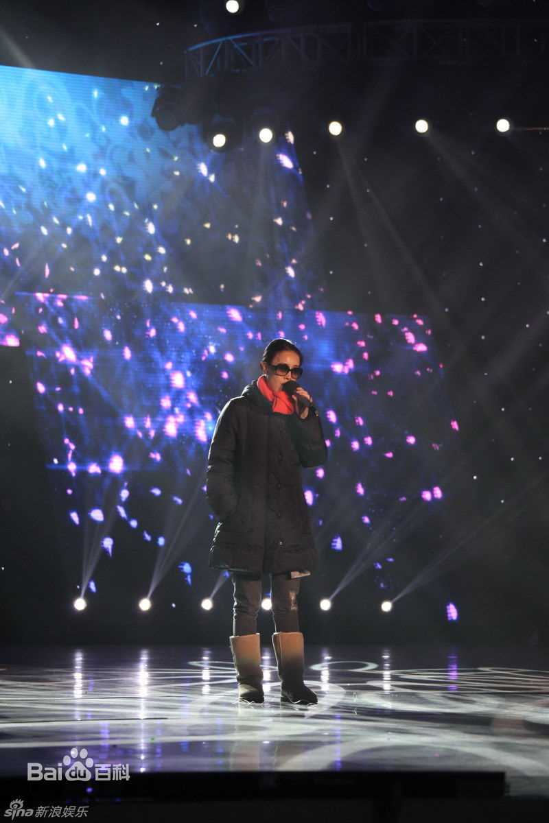 高清那英精彩图册