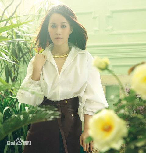 精选那英精彩图册