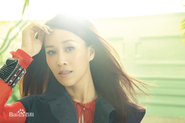 精选那英精彩图册