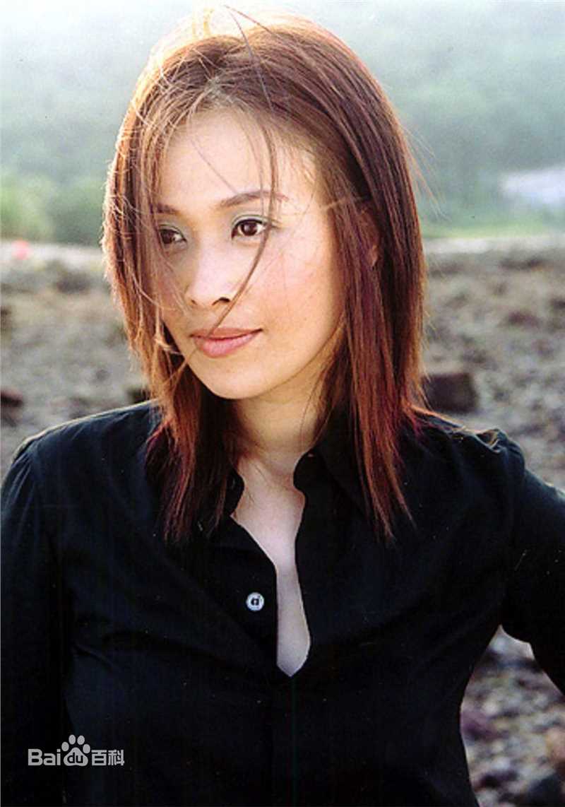 精选那英精彩图册