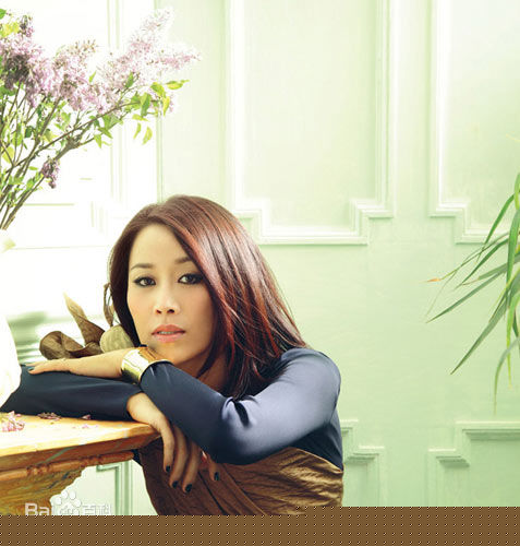 精选那英精彩图册