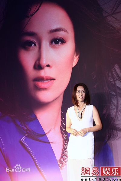 最全那英精彩图册