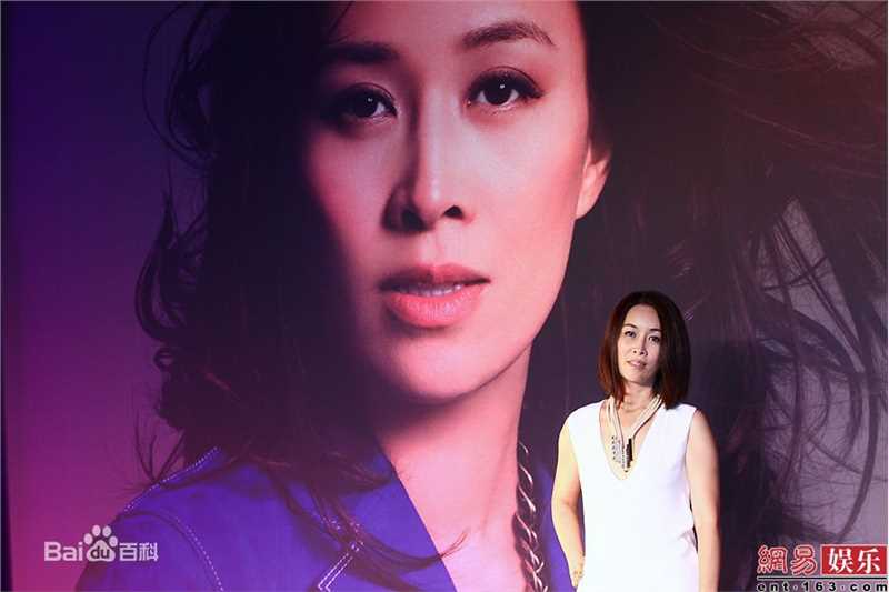 最全那英精彩图册